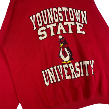 Youngstown State Crewneck