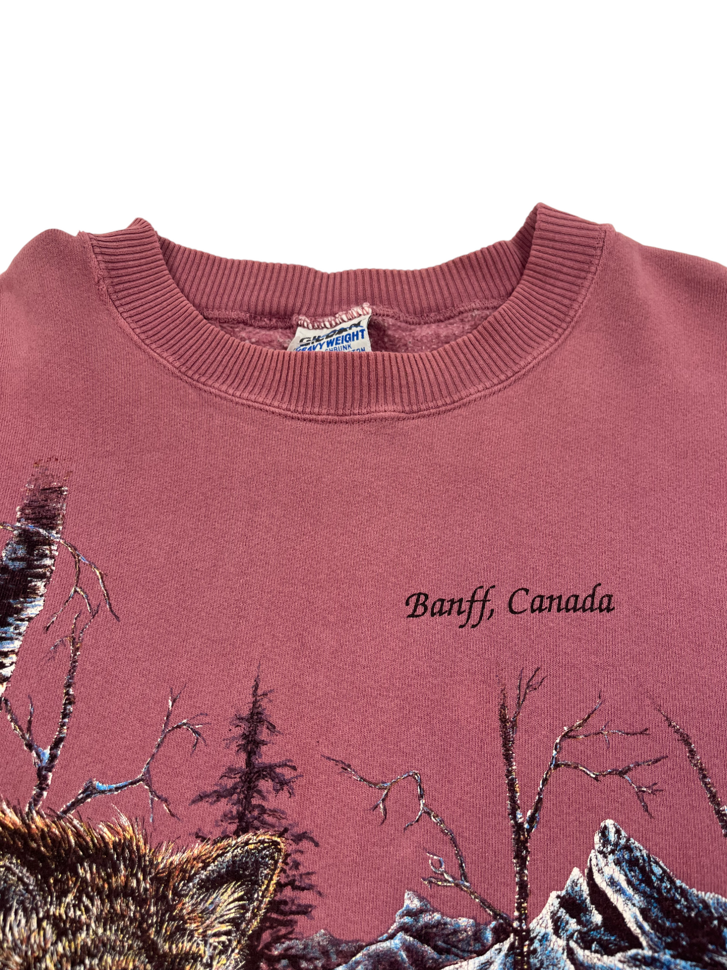 Banff Canada Pink Crewneck