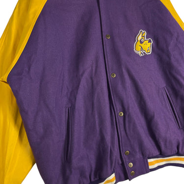 Great Danes Albany University Varsity Jacket