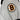 Boston Bruins Crewneck