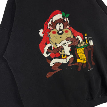 1993 Warner Bros Crewneck