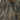 Realtree Long Sleeve