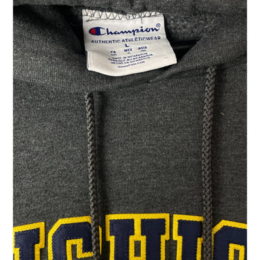 Michigan Hoodie University