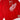 Red Wings Crewneck